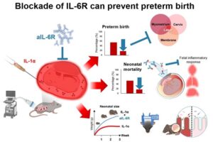 Dr. Gomez-Lopez published in eBioMedicine