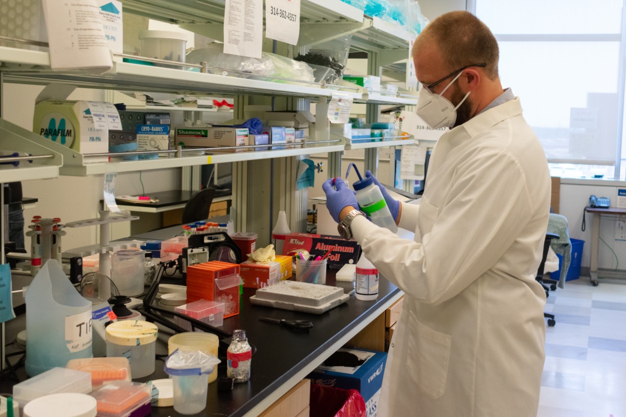 Promising new researcher obtains prestigious fellowship award - Center ...